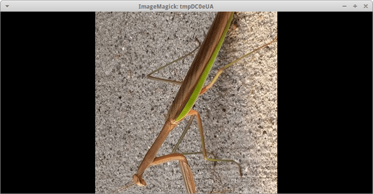 How To Rotate Mirror Photos With Python Mouse Vs Python how-to-rotate-mirror-photos-with-python-mouse-vs-python